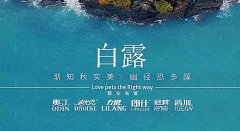 白露丨草木染露，秋韵渐浓